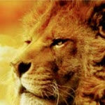 Halil