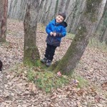 Hülya