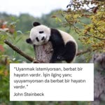 Kübra