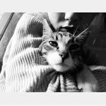 Beyza