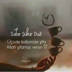 Yunus