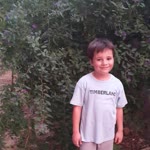 Birol