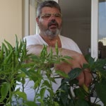 Ertuğrul