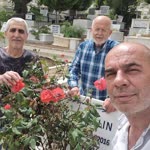 Veysel