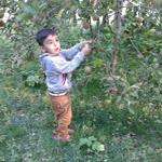 Nevzat