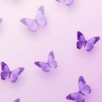 The