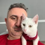 Mehmet