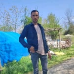 Faysal