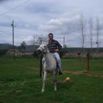 Murat