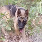 Fatih