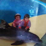 Samed