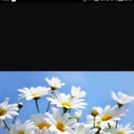 Sibel