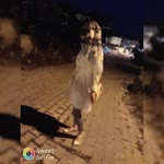 Merve