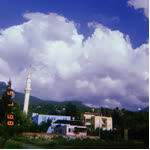 Kardelen