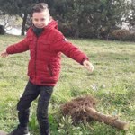 Melek