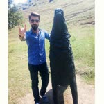 Emre