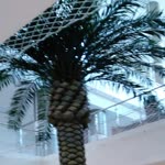 Berkcan