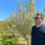 Gökhan