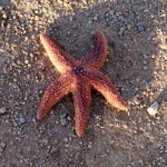 Emrah