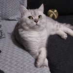 Hatice