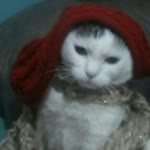 Emre