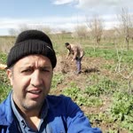 Remzi
