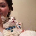 Aslıhan