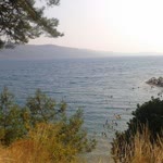 Sezer