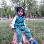 Mahmut