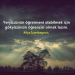Nur