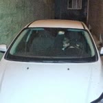 Ersin