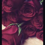 Hatice