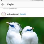 Gönül
