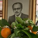 Anıl