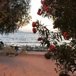 Eylül