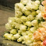Müslüme