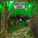 Murat