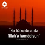 Doğan