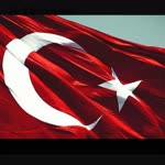 Şahin