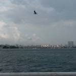 Murat