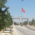 Münevver