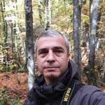Sadettin