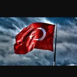 Şerife