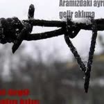 Akin