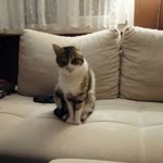 Zekiye