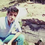 Ali