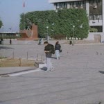 Tolga
