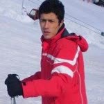 Şahin