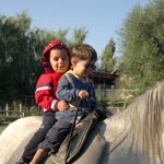 Halil