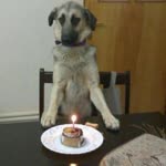 Gıyla